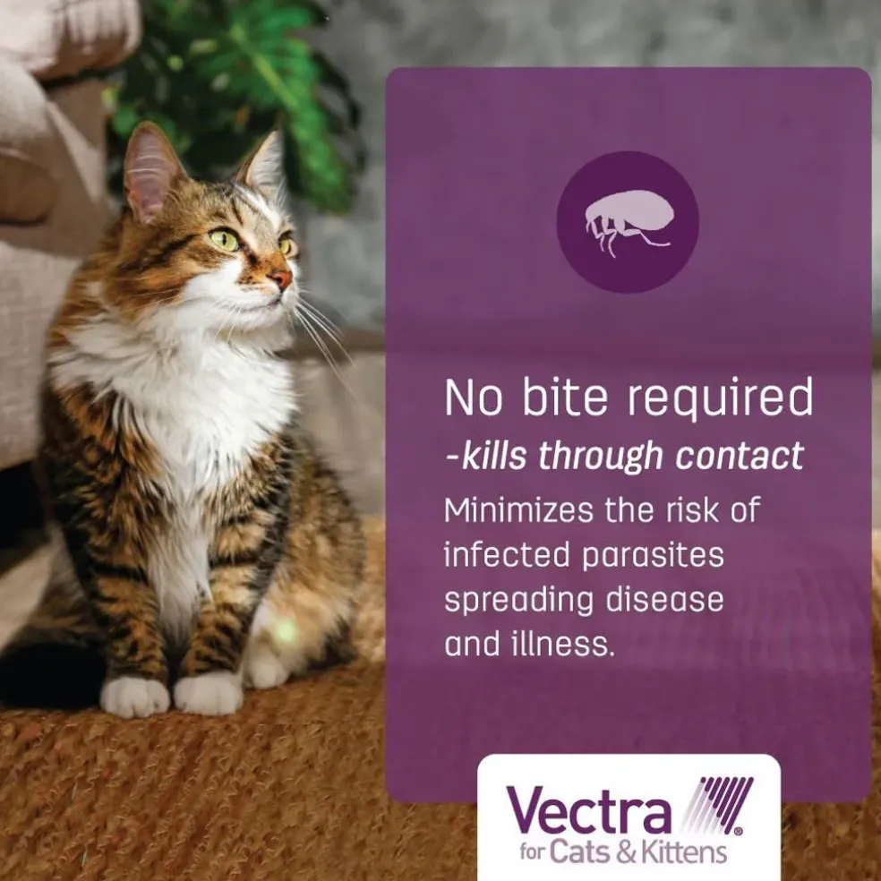 Vectra for Cats, 9 lbs and Over