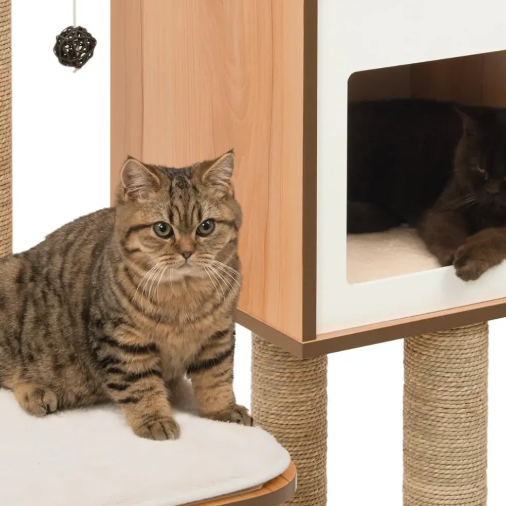 Vesper Walnut Cat Furniture with Very High Base