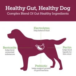 Vetality Stop the Runs Anti Diarrhea Medication for Dogs (6 chewable tablets)