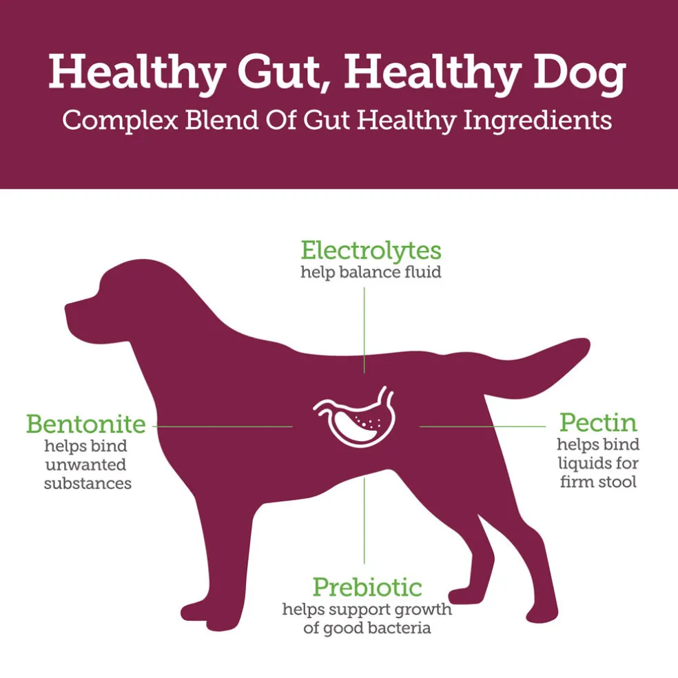 Vetality Stop the Runs Chewables for Dogs, 6 count