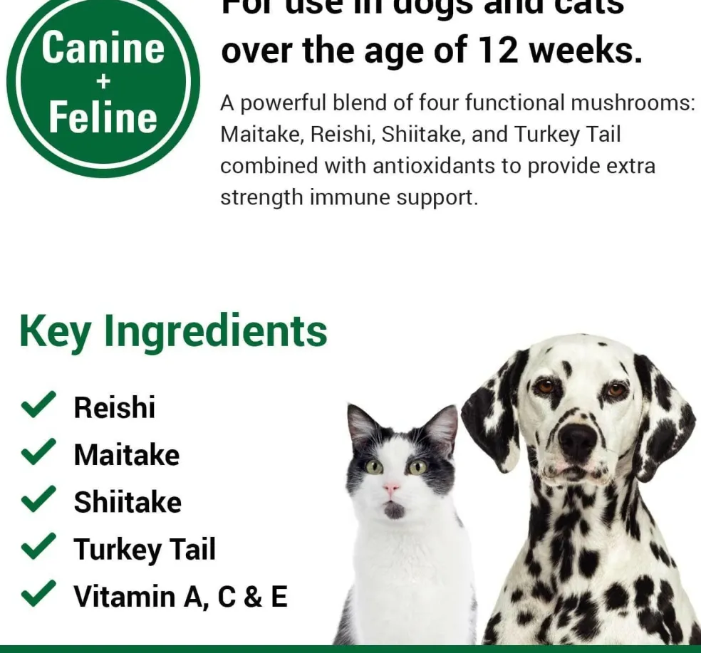 Vet Classics CAS Options for Dogs and Cats (120 Soft Chews)