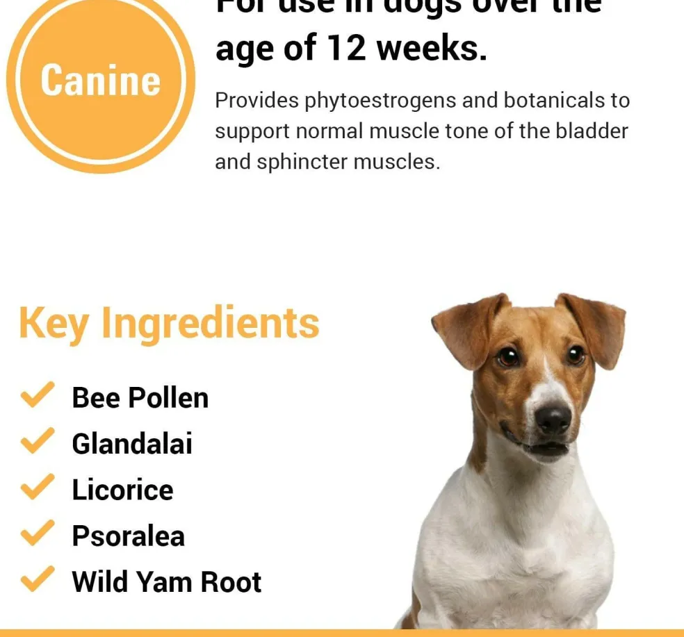 Vet Classics Incontinence for Dogs ( 120 Chew Tabs)