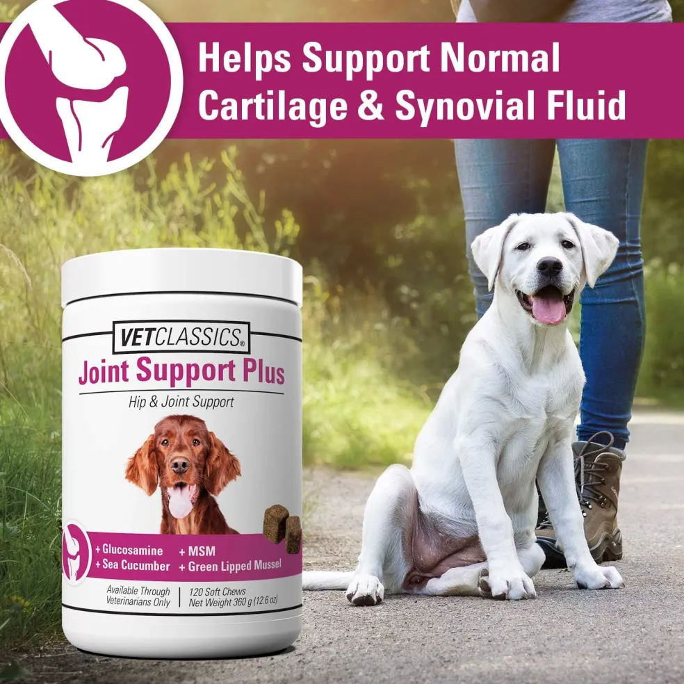 Vet Classics Joint Support Plus for Dogs (120 Soft Chews)