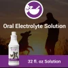 Vet Classics Pet-A-Lyte Oral Electrolyte Solution for Dogs & Cats (32 oz)