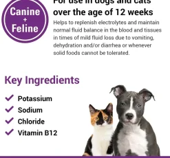 Vet Classics Pet-A-Lyte Oral Electrolyte Solution for Dogs & Cats (32 oz)