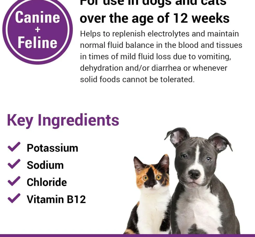 Vet Classics Pet-A-Lyte Oral Electrolyte Solution for Dogs & Cats (32 oz)