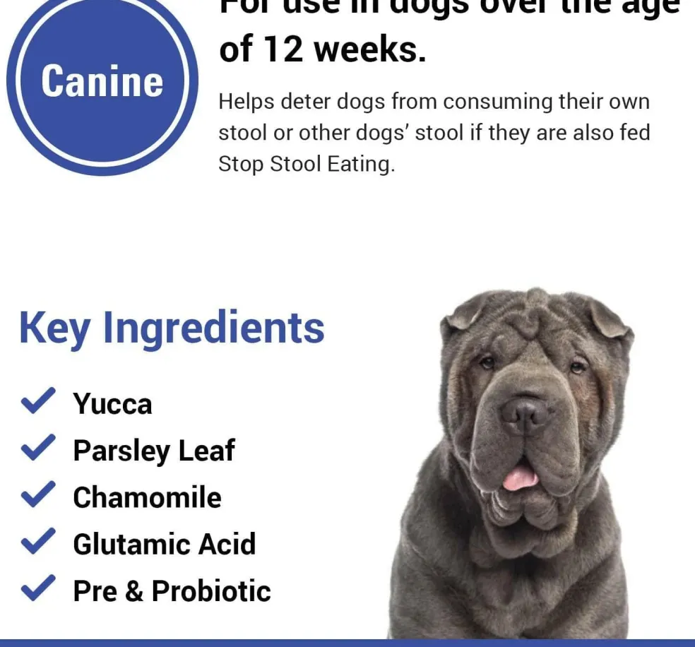 Vet Classics Stop Stool Eating for Dogs (60 Chew Tabs)