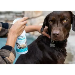 Vetericyn FoamCare Shampoo & Conditioner for Dogs (16 oz)