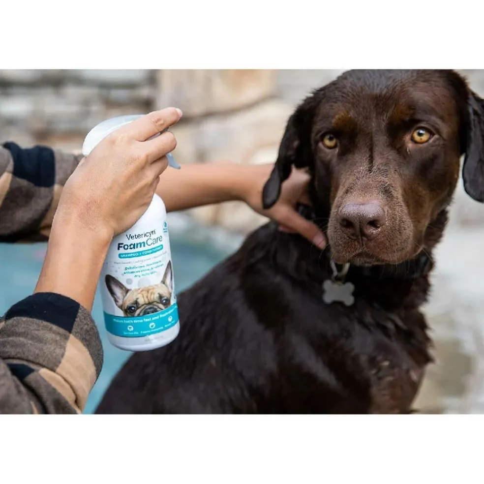 Vetericyn FoamCare Shampoo & Conditioner for Dogs (16 oz)