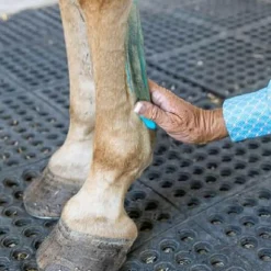 Vetericyn Mobility Equine Liniment Treatment