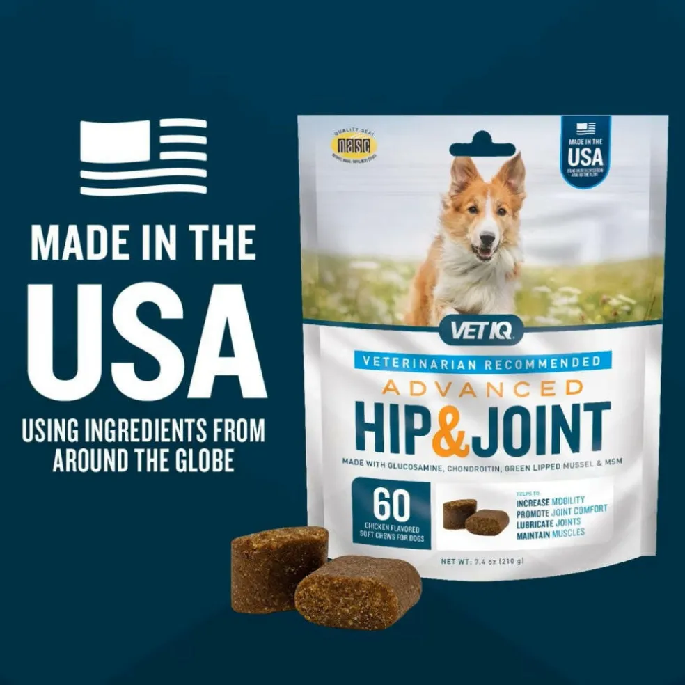 VetIQ Advanced Hip & Joint Supplement for Dogs (60 soft chews)