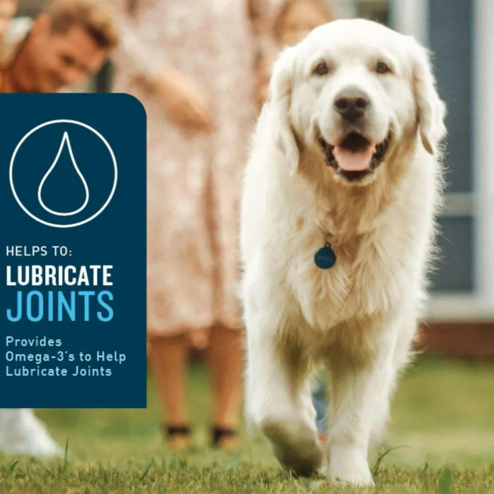 VetIQ Hip & Joint Soft Chew Supplement for Dogs (60 count)