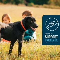 VetIQ Hip & Joint Soft Chew Supplement for Dogs (60 count)