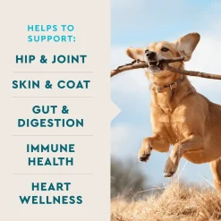 VetIQ 8-in-One Multi Functional Supplement for Dogs (60 soft chews)