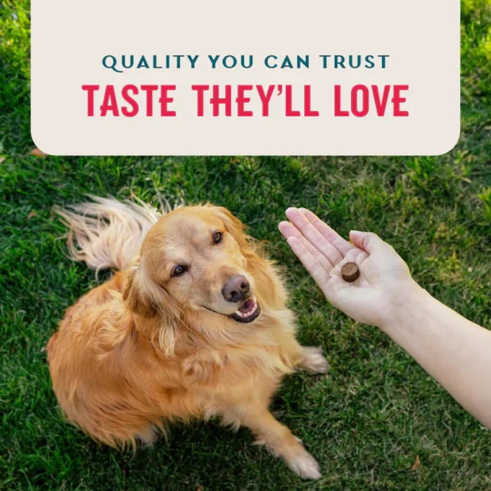 VetIQ 8-in-One Multi Functional Supplement for Dogs (60 soft chews)