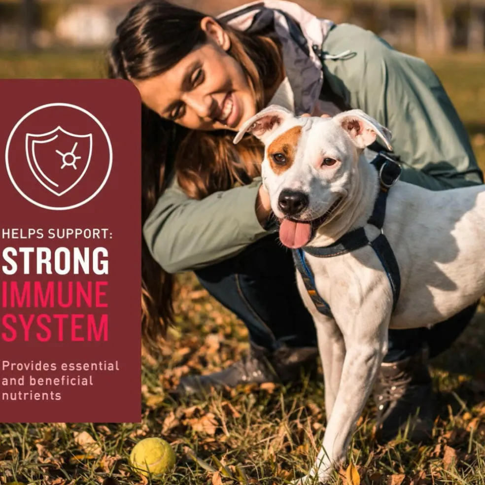 VetIQ Multivitamin Soft Chew Supplement for Dogs (60 soft chews)