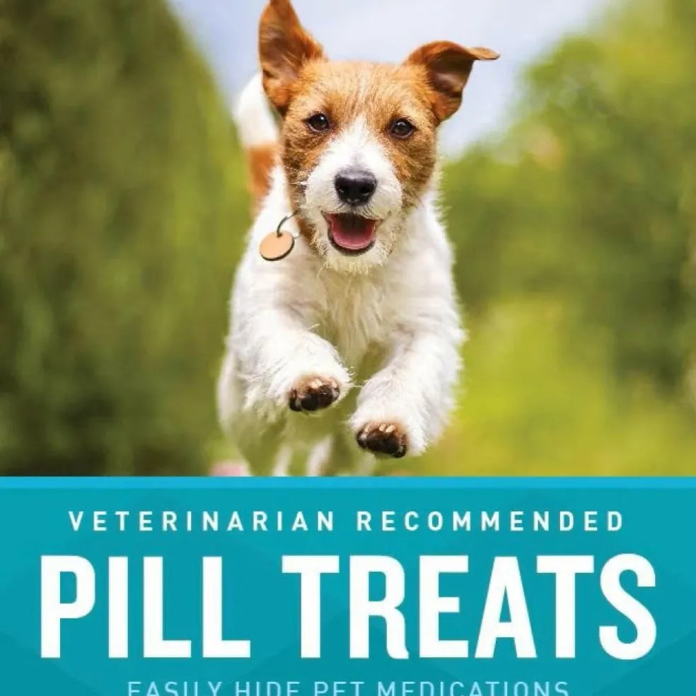 VetIQ Pill Treats Chicken Flavored Soft Chews for Dogs (30 ct)