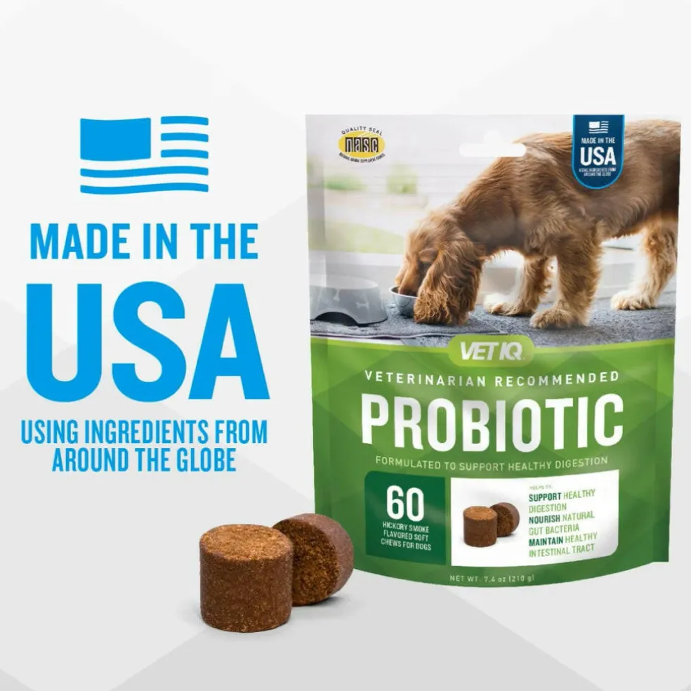 VetIQ Probiotic Soft Chew Supplement for Dogs (60 soft chews)