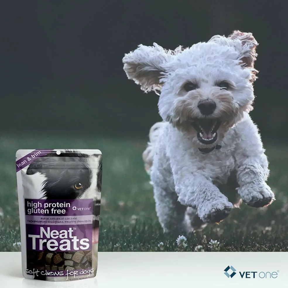 VetOne Neat Treats Soft Chews for Dogs (4oz)