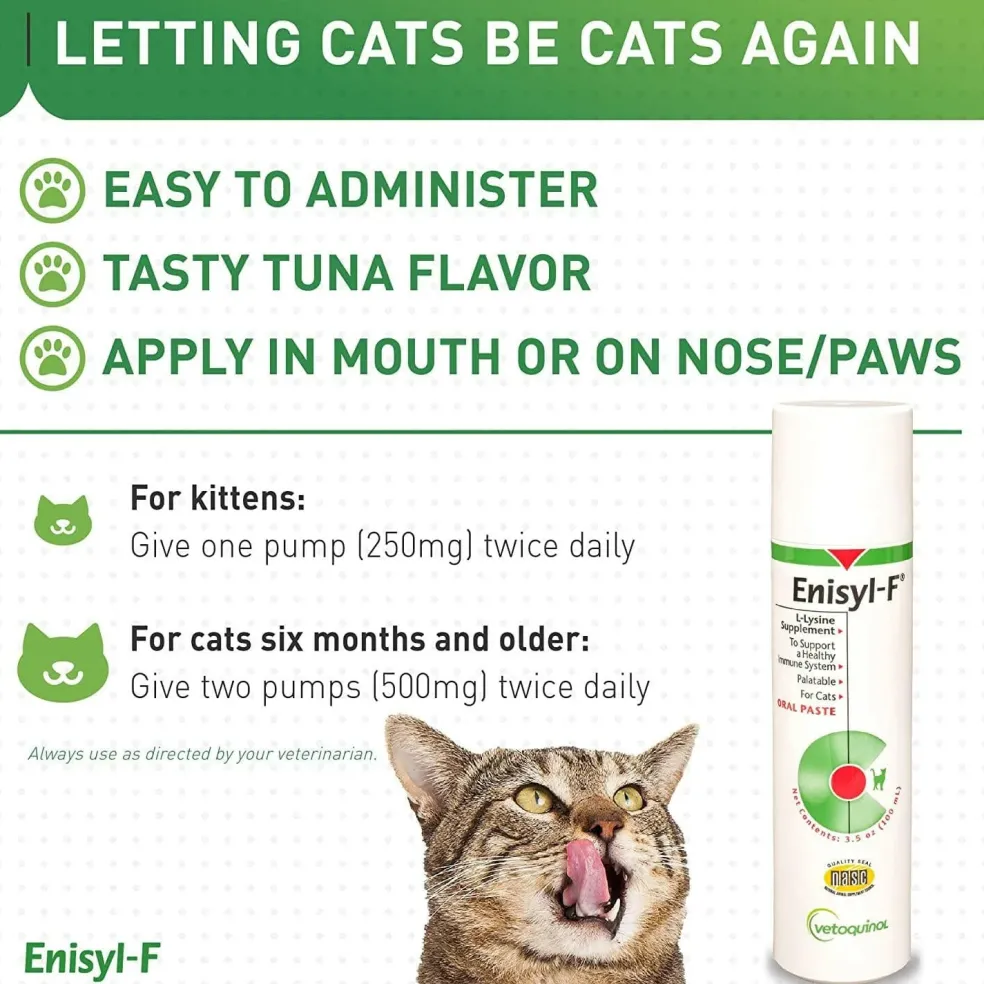 Vetoquinol Enisyl-F Paste for Cats (100 mL)