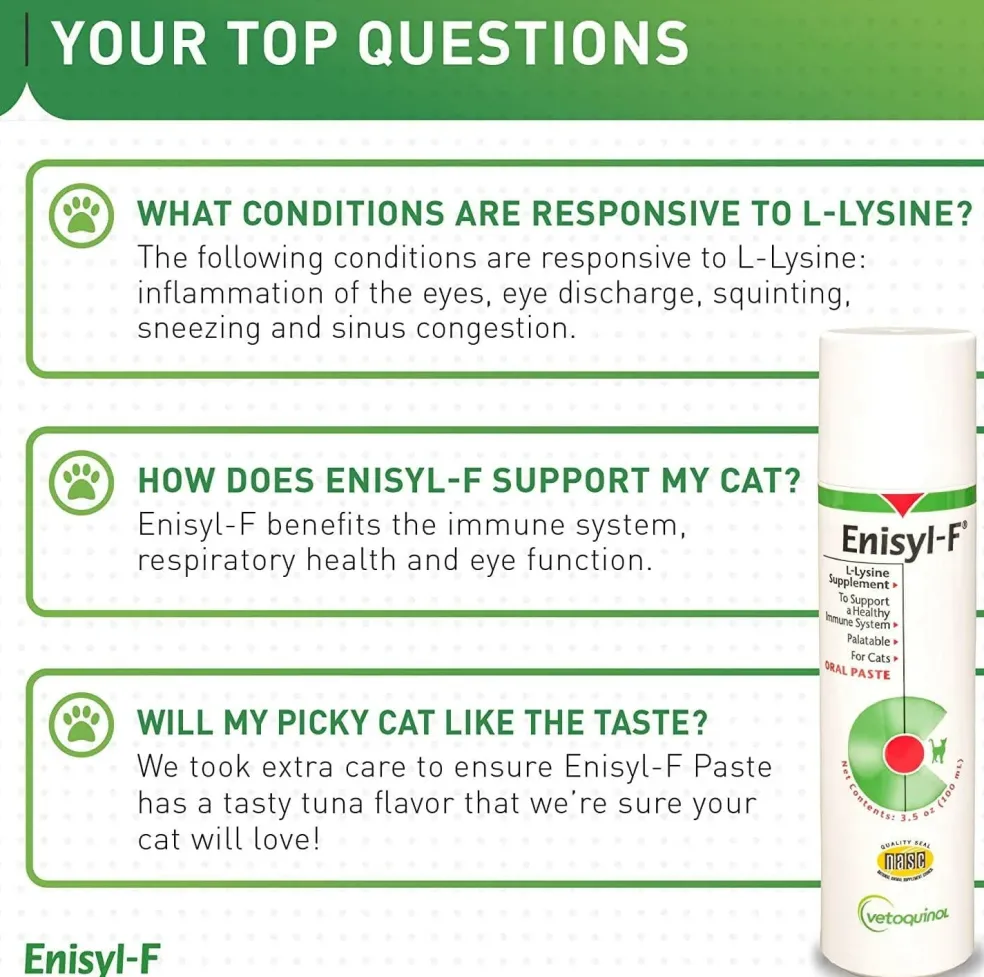 Vetoquinol Enisyl-F Paste for Cats (100 mL)