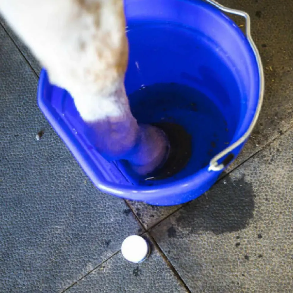 Vetricyn Mobility Hoof Soak Support for Horses