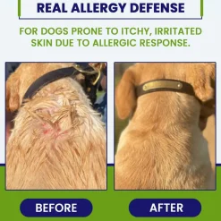 VETRIMAX Allergy CZN Bacon Flavored Supplement for Dogs, 120 count