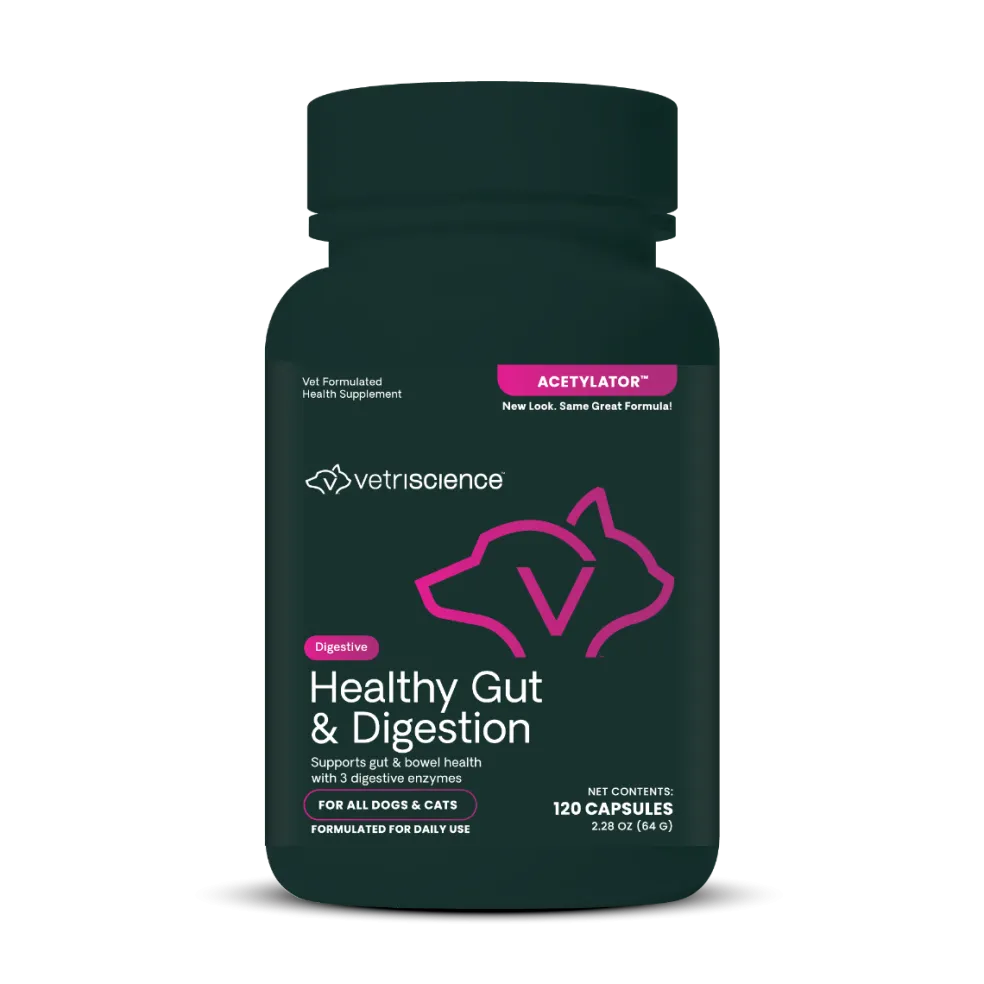 VetriScience Acetylator Digestive Supplement for Cats & Dogs (120 caps)