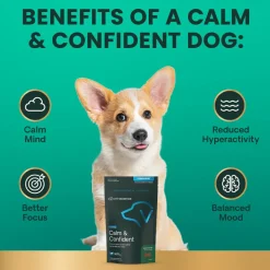 VetriScience Composure Chicken Liver Flavored Chews for Small Dogs (30ct)