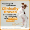 VetriScience Extra Strength Healthy Hip & Joint GlycoFlex Plus for Small Dogs, Duck Flavor (60 Chews)