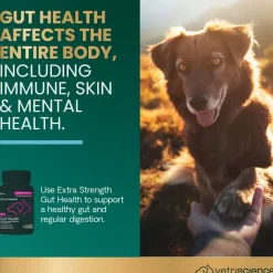 VetriScience Extra Strength Gut Health Vetri Mega Probiotic Capsules for Dogs & Cats