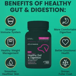 VetriScience Extra Strength Healthy Gut & Digestion Tablets for Dogs (120 Chewable Tablets)
