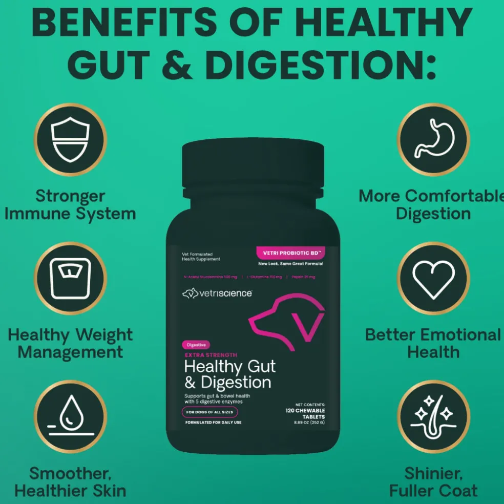 VetriScience Extra Strength Healthy Gut & Digestion Tablets for Dogs (120 Chewable Tablets)