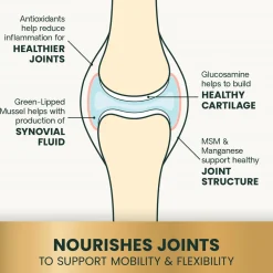VetriScience GlycoFlex 3 Extra Strength Healthy Hip & Joint Chews for Dogs, Chicken Flavor (120 Soft Chews)