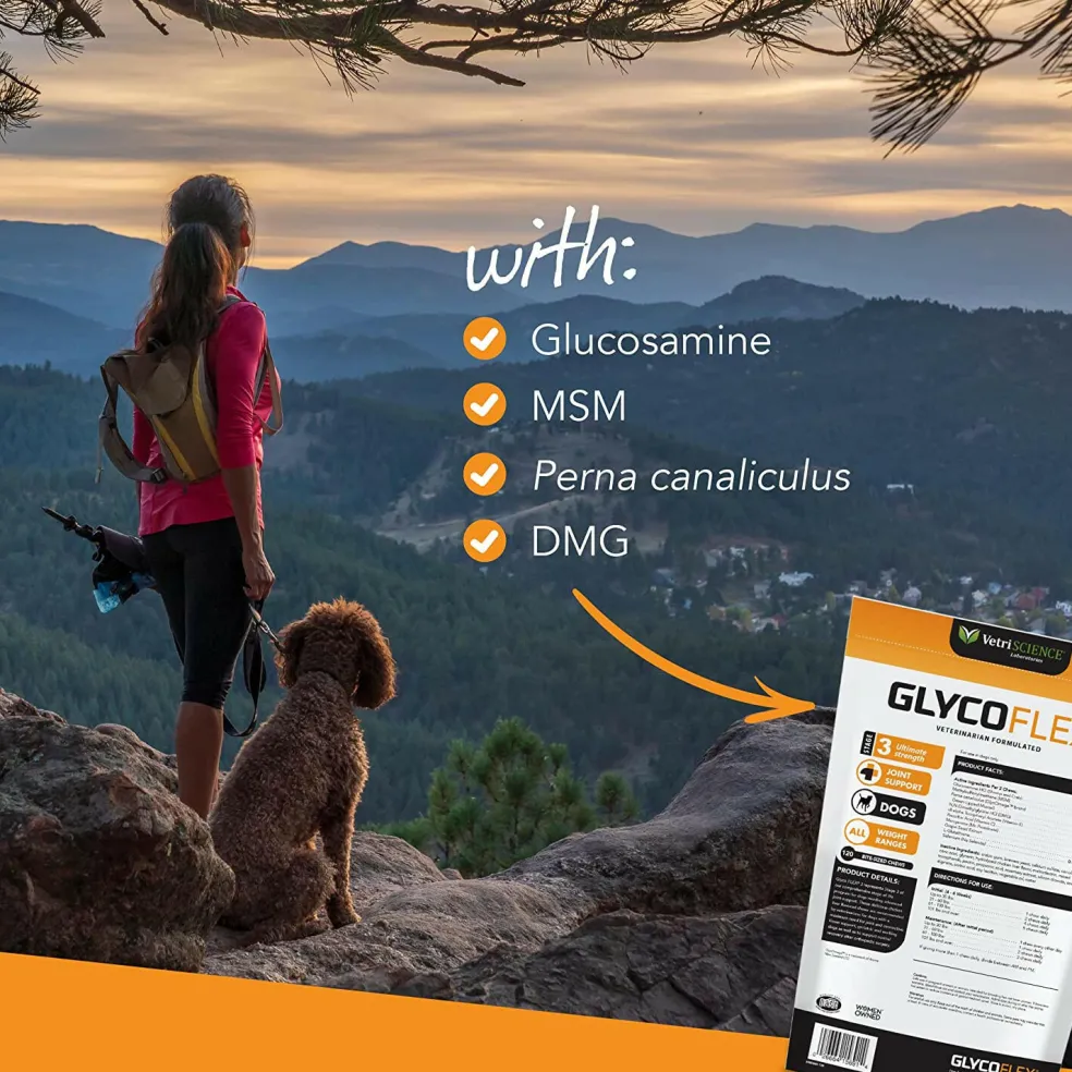 VetriScience GlycoFlex 3 Joint Supplement for Small Dogs (60 soft chews)