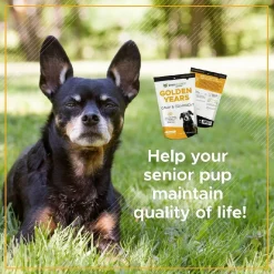 VetriScience Golden Years Calm & Confident Behavior Chew Supplement for Senior Dogs (60 chews)