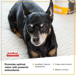 VetriScience Golden Years Clear and Bright Eye Health for Senior Dogs (60 soft chews)