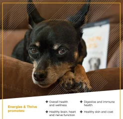VetriScience Golden Years Energize and Thrive Multivitamin for Senior Dogs (60 soft chews)