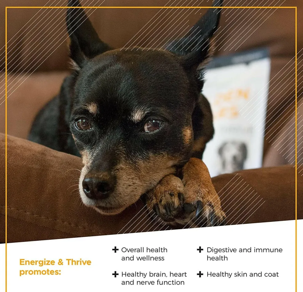 VetriScience Golden Years Energize and Thrive Multivitamin for Senior Dogs (60 soft chews)