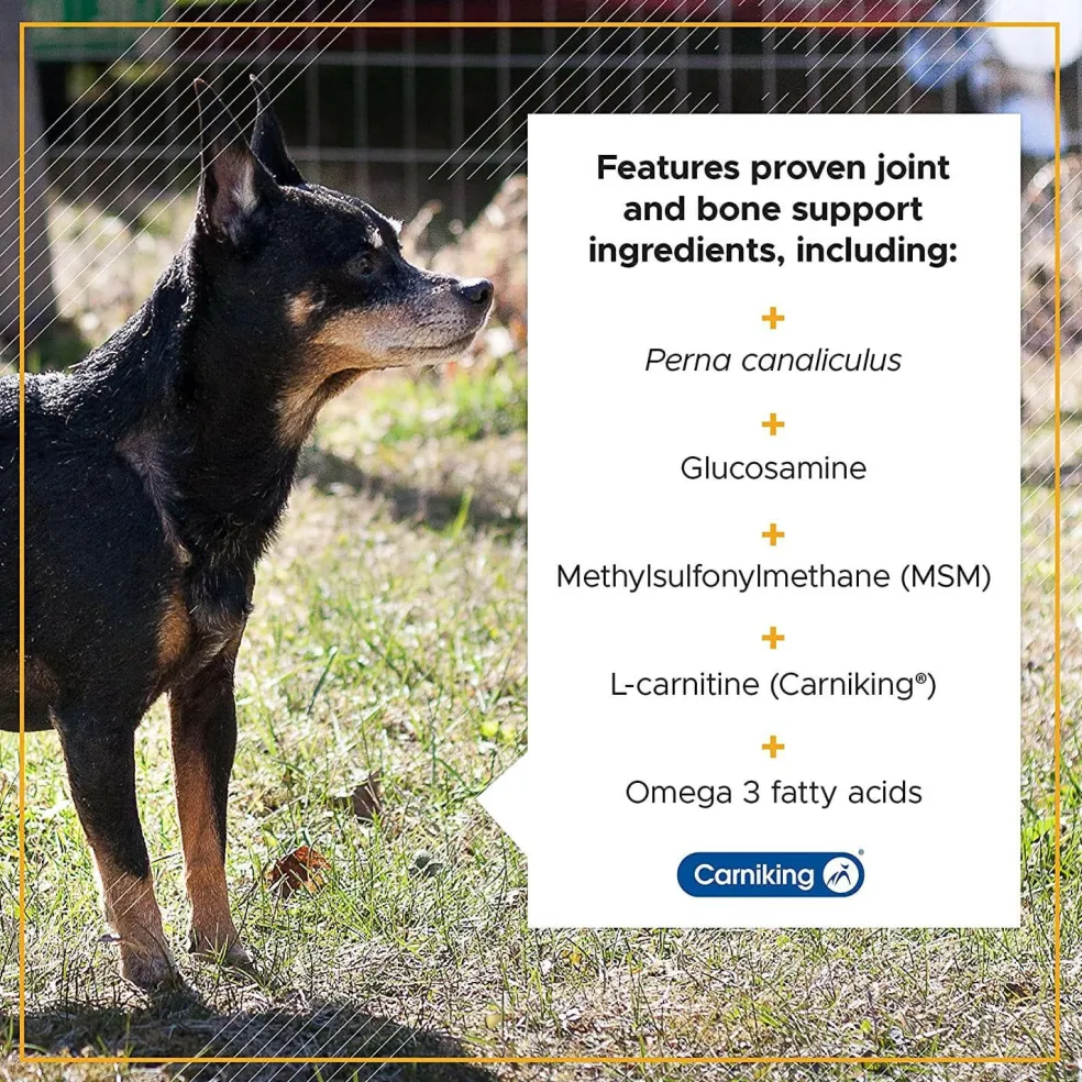 VetriScience Golden Years Strength and Stability Joint Support for Senior Dogs (60 soft chews)