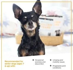 VetriScience Golden Years Strength and Stability Joint Support for Senior Dogs (60 soft chews)