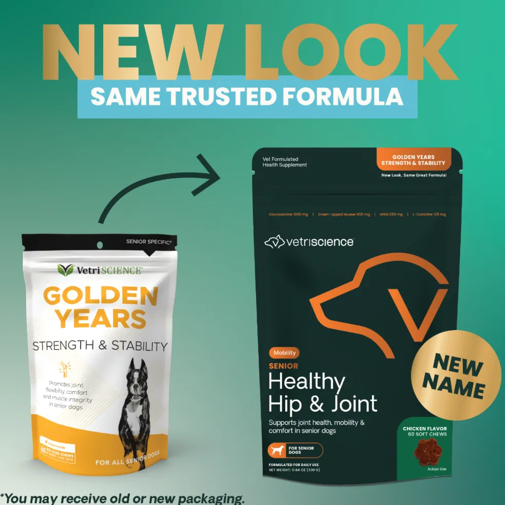 VetriScience Golden Years Strength and Stability Joint Support for Senior Dogs (60 soft chews)
