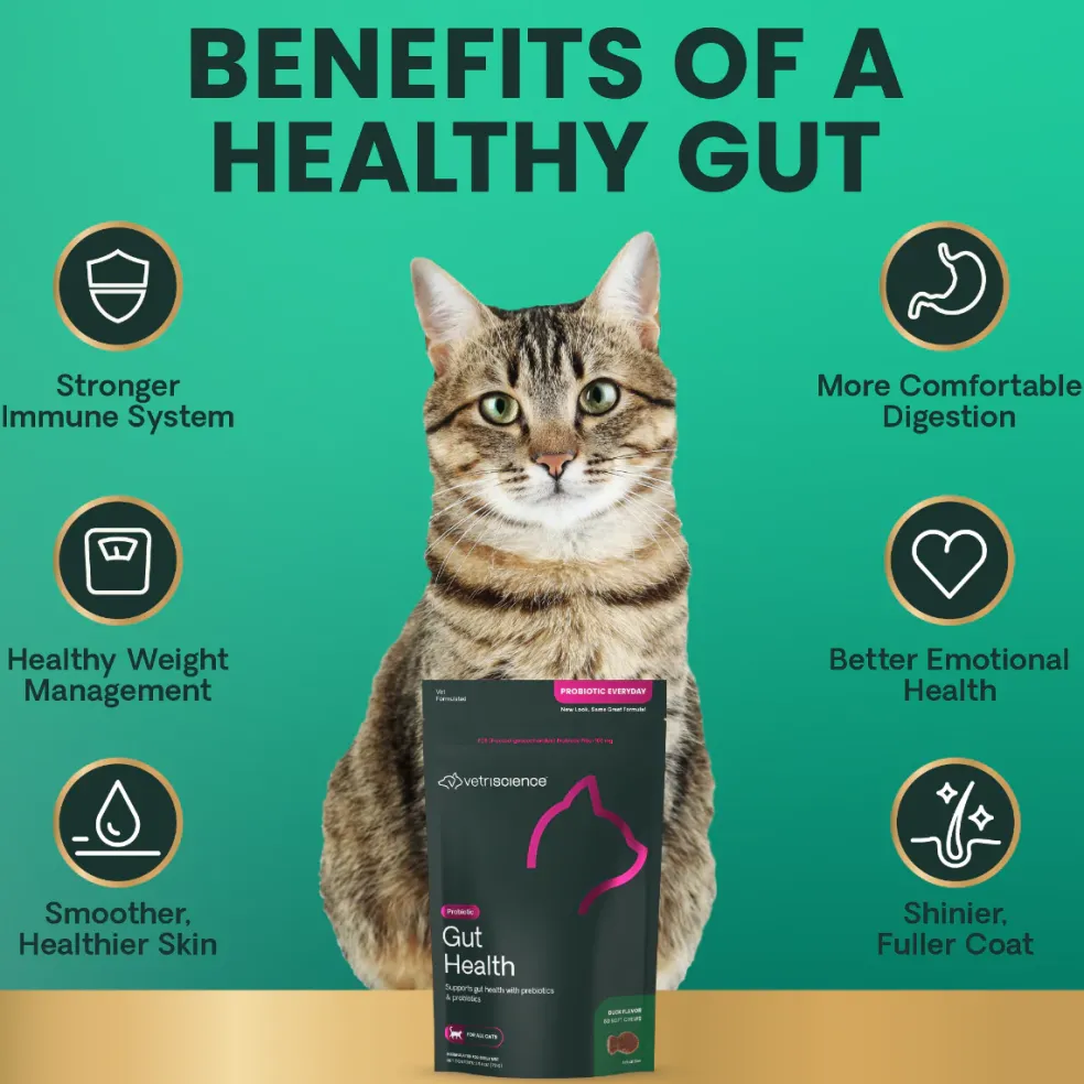 VetriScience Gut Healthy Probiotic Everyday Supplement for Cats (60 chews)