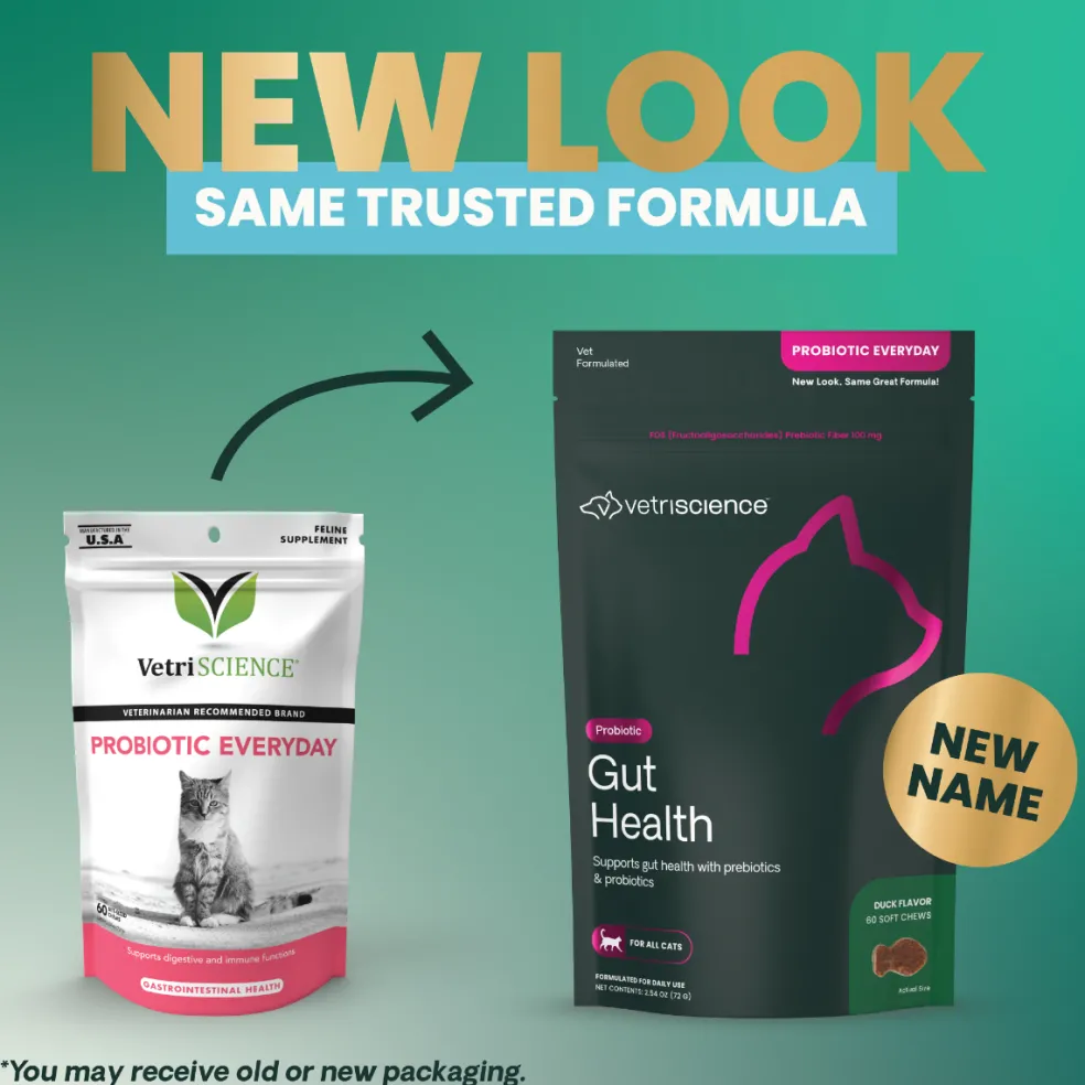 VetriScience Gut Healthy Probiotic Everyday Supplement for Cats (60 chews)