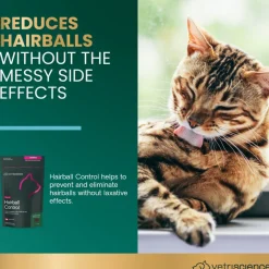 VetriScience Hairball Control Chews for Cats (60 Soft Chews)