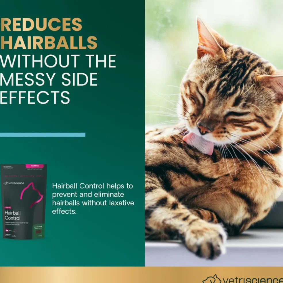VetriScience Hairball Control Chews for Cats (60 Soft Chews)