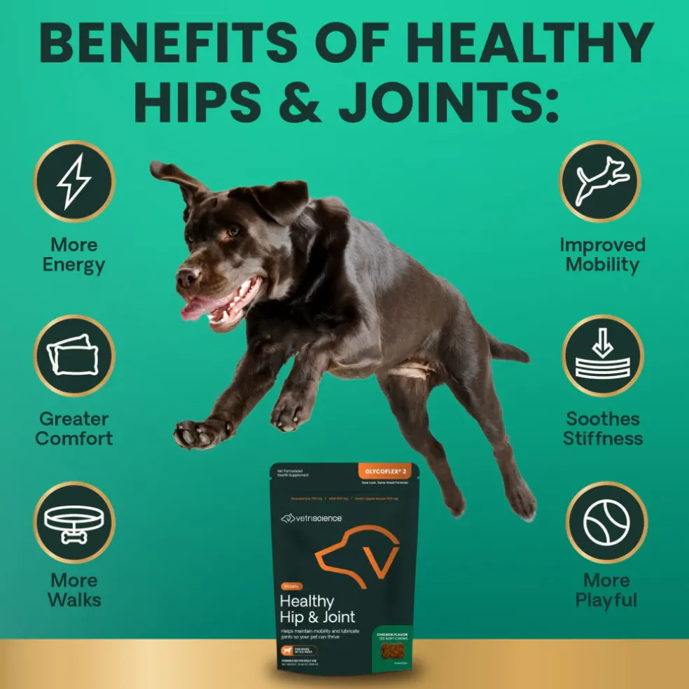 VetriScience Healthy Hip & Joint Chews for Dogs, Chicken Flavor (120 Soft Chews)