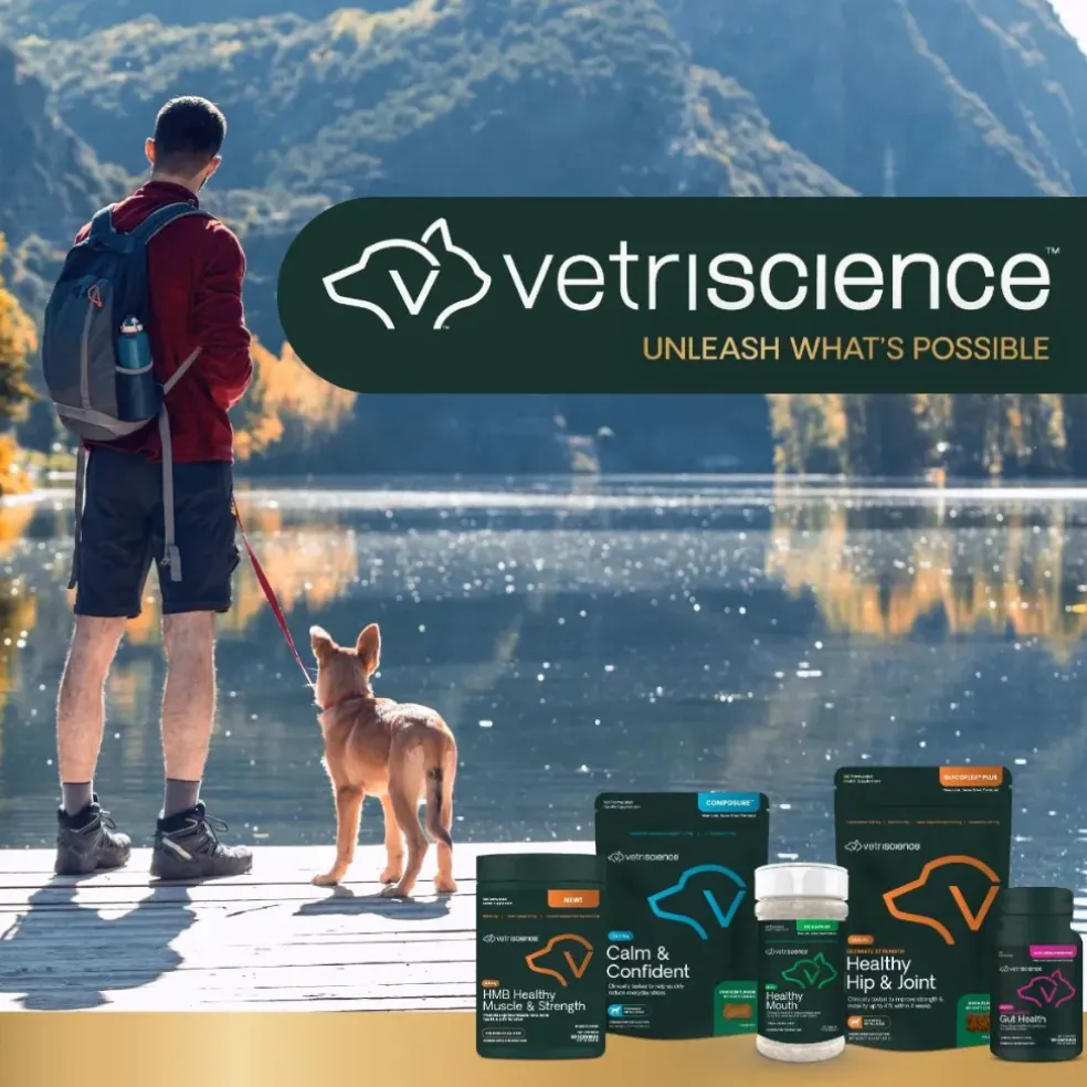 VetriScience Healthy Hip & Joint Chews for Dogs, Chicken Flavor (120 Soft Chews)