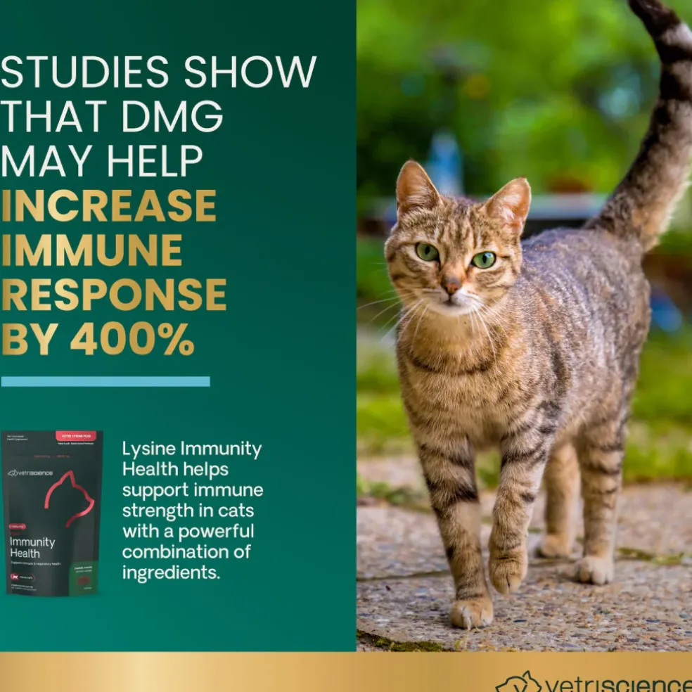 VetriScience Healthy Immunity Lysine Plus Chews for Cats