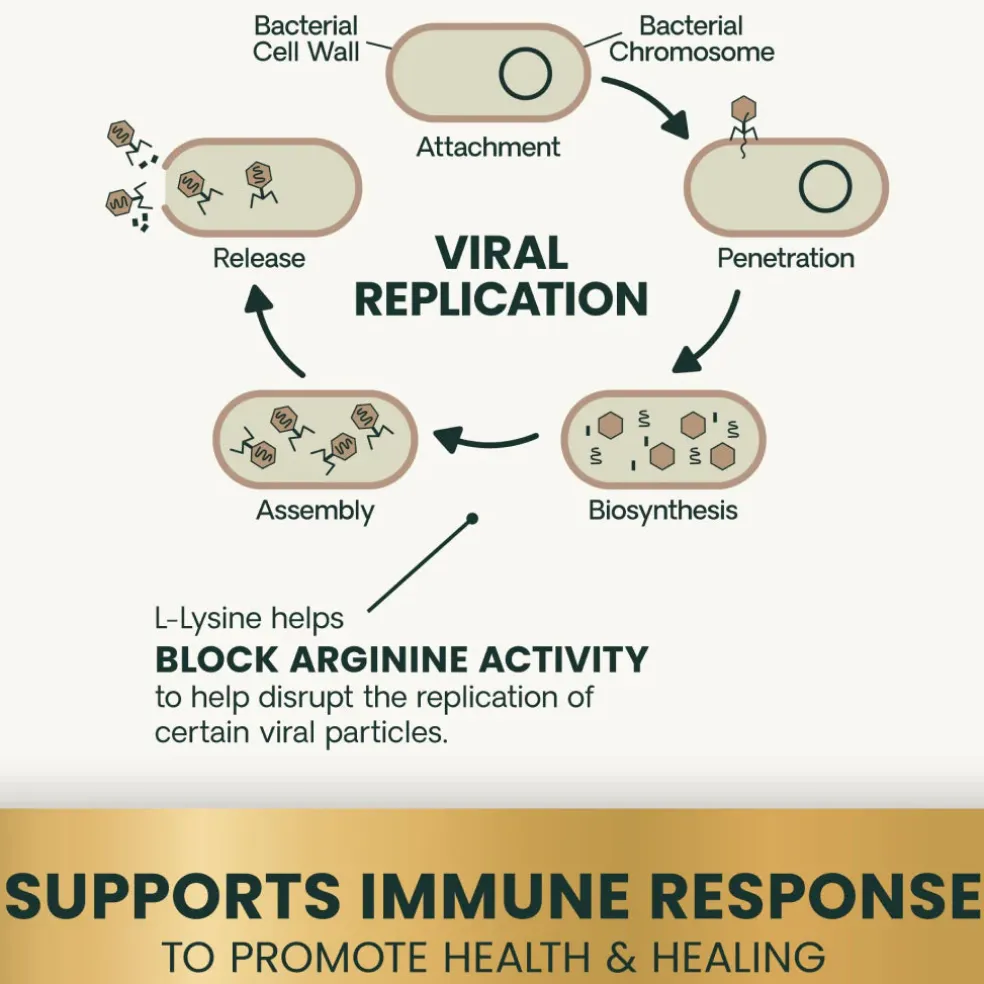 VetriScience Healthy Immunity Lysine Plus Chews for Cats